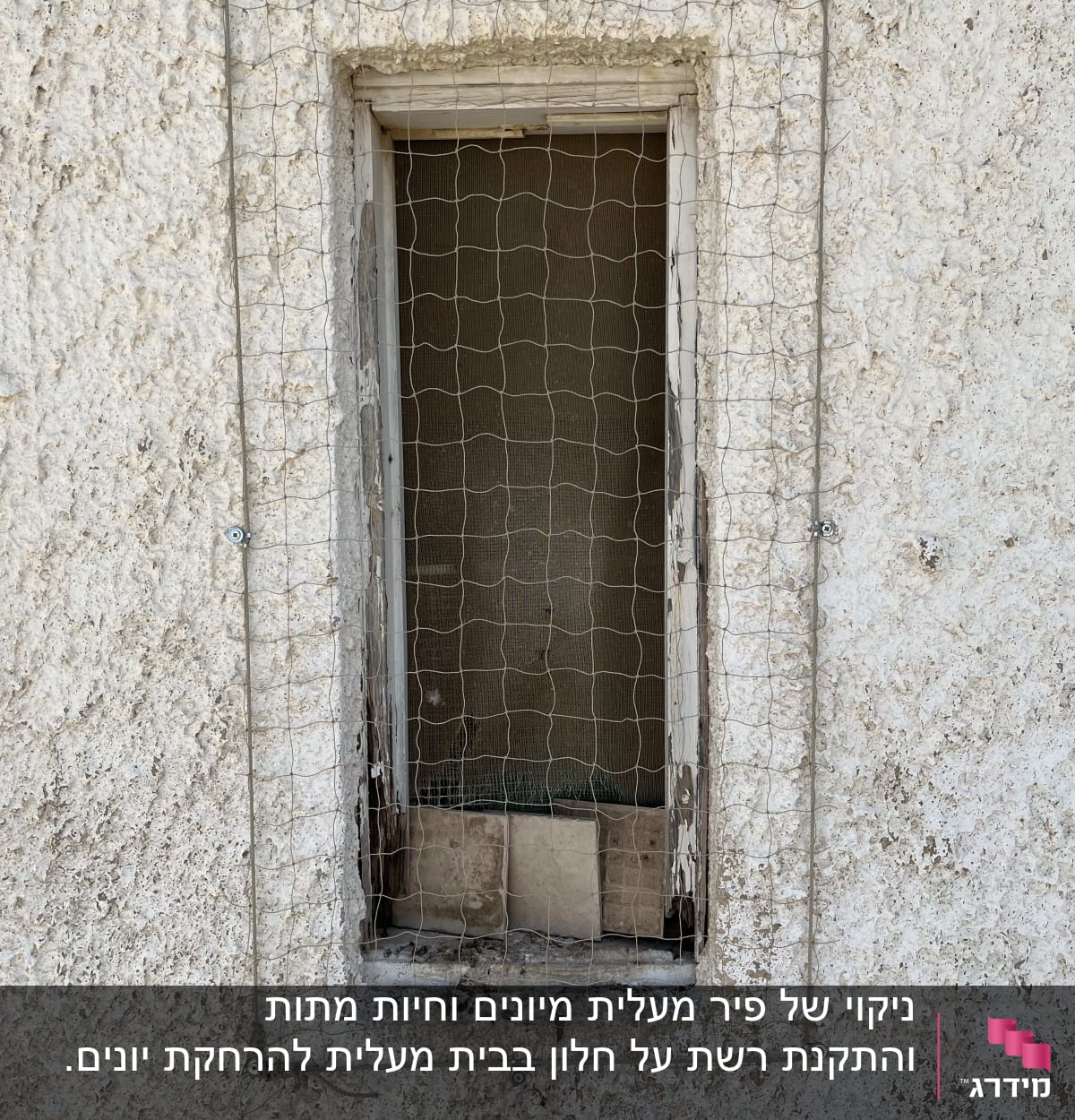 חלון עם רשת למניעת כניסת יונים